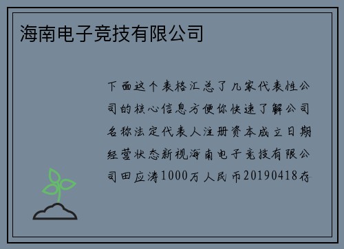 海南电子竞技有限公司